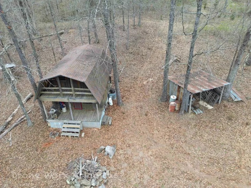 Remote Cabin in Witts Springs, Arkansas